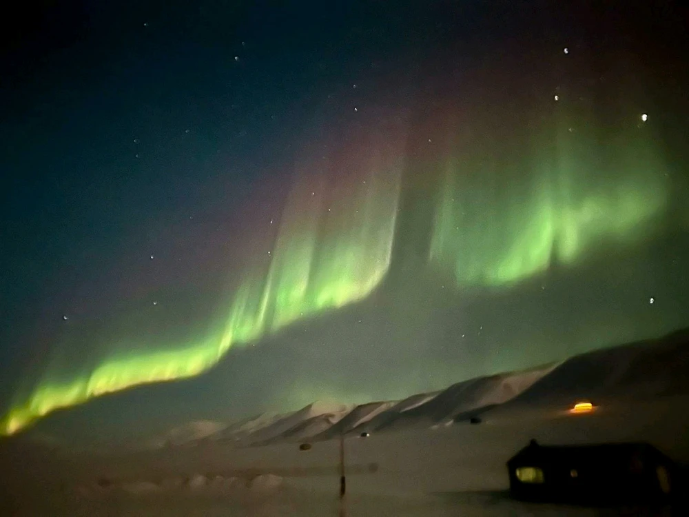 Image uploaded by Teresa