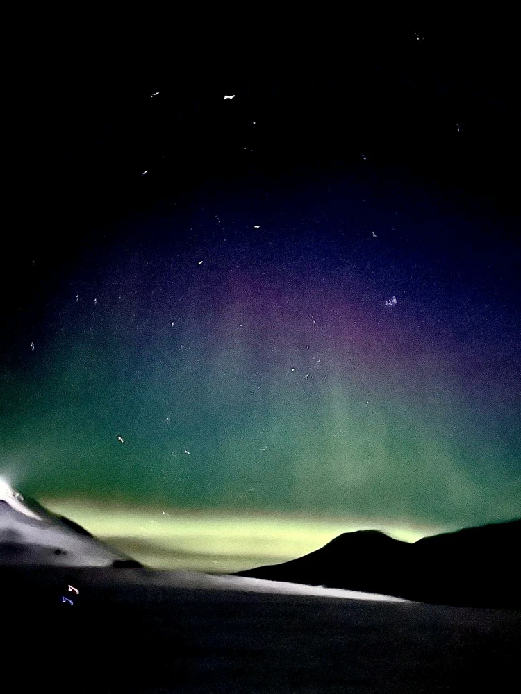 Image uploaded by Teresa