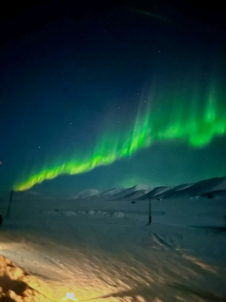 Image uploaded by Teresa