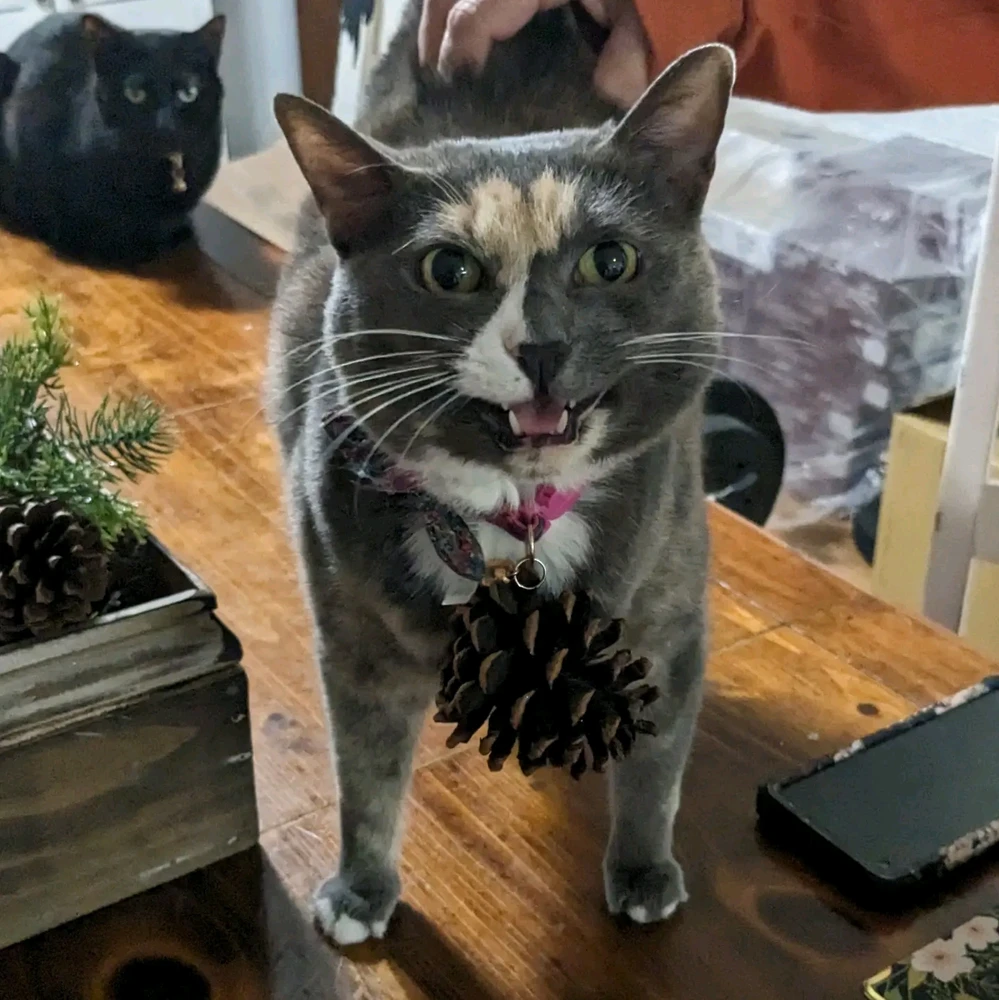 GIF uploaded by Nathan