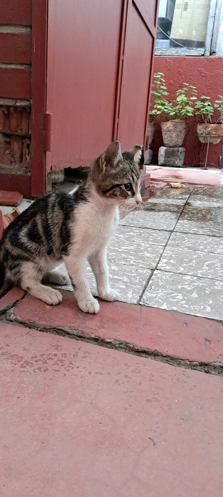 GIF subido por Felipe