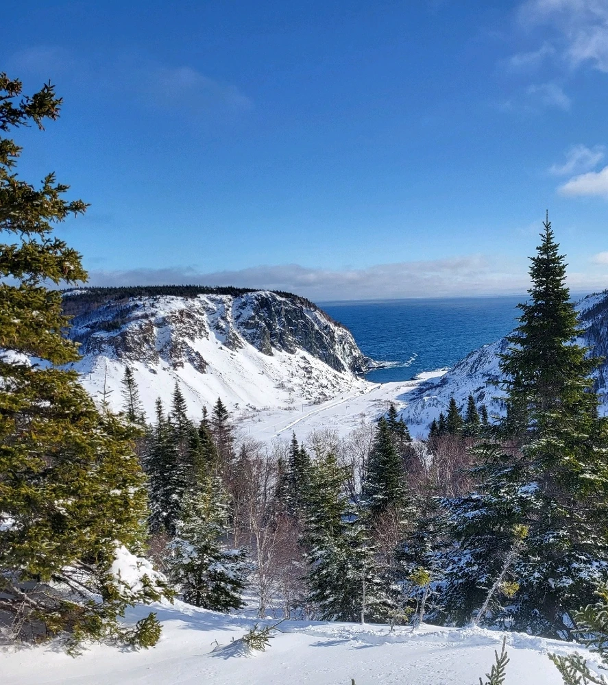 GIF uploaded by Kyle