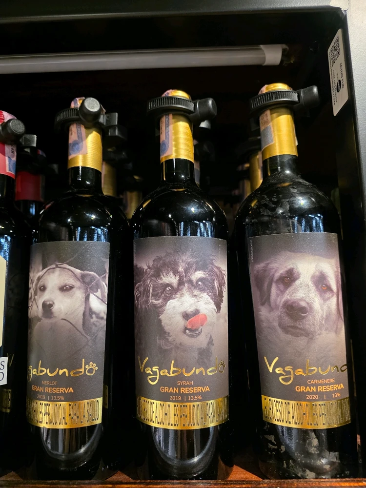 GIF uploaded by Sofí