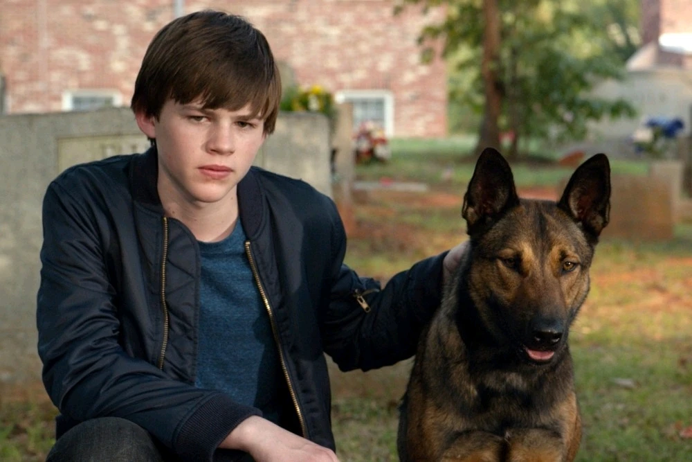 GIF uploaded by A༗🂡⏳