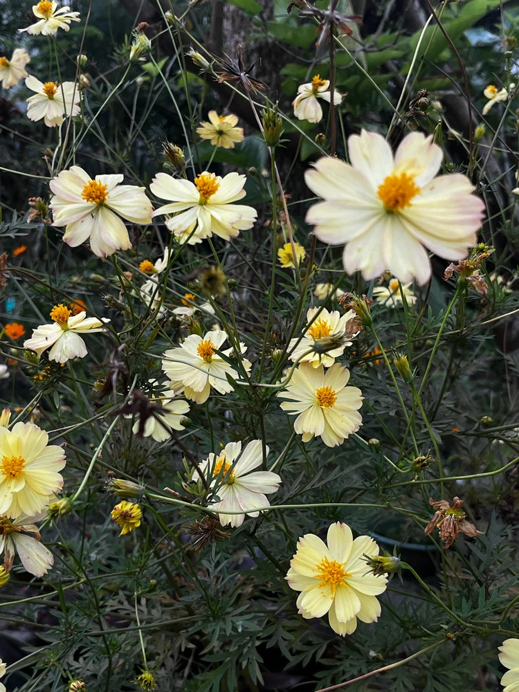 Image uploaded by Patty