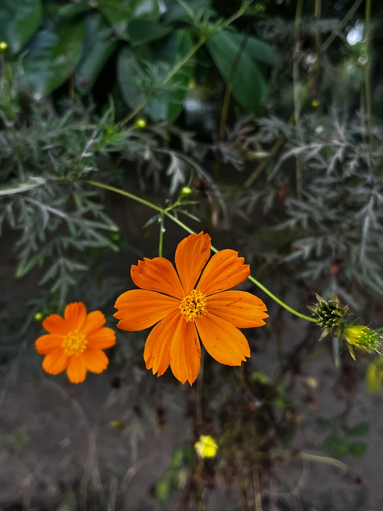 Image uploaded by Patty