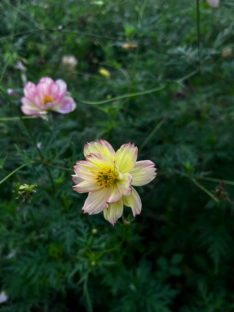 Image uploaded by Patty