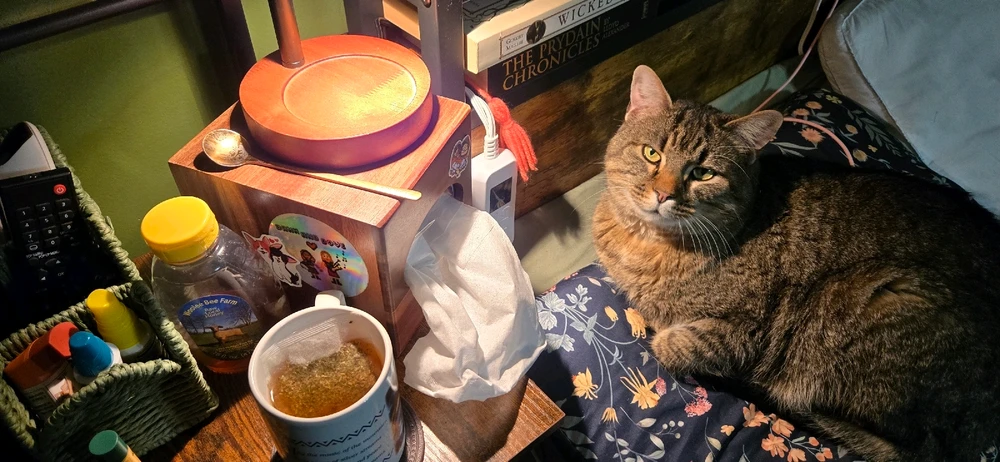 GIF uploaded by Maria