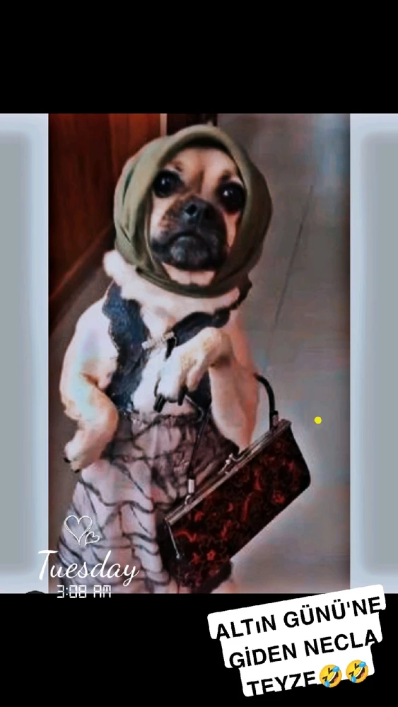 BiLaL tarafından yüklenen GIF