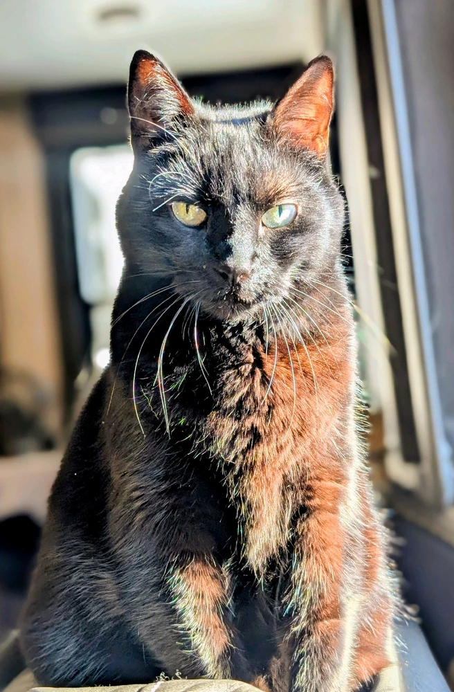 GIF uploaded by Preston