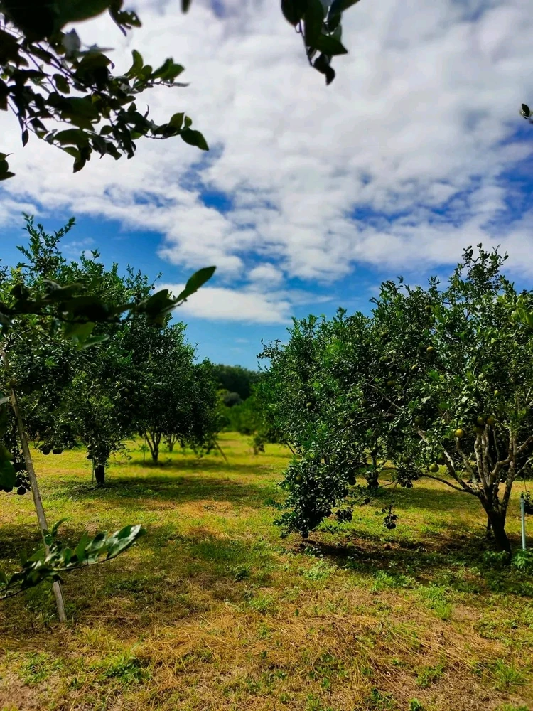 รูปที่อัพโหลดโดย NANI