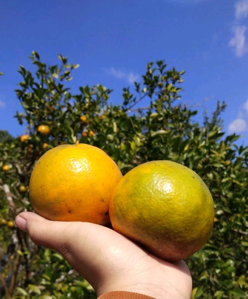 รูปที่อัพโหลดโดย NANI