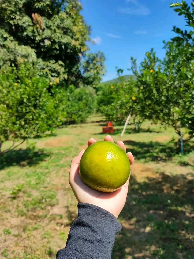 รูปที่อัพโหลดโดย NANI