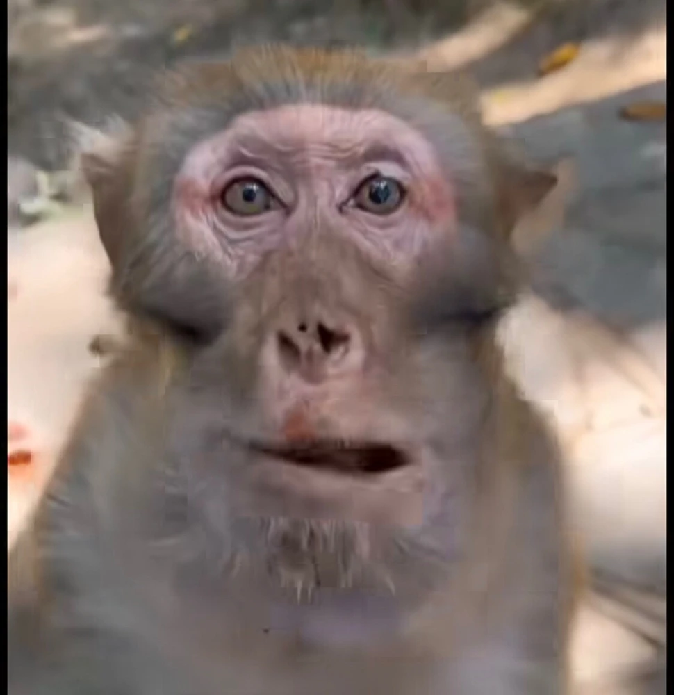 GIF uploaded by Leon