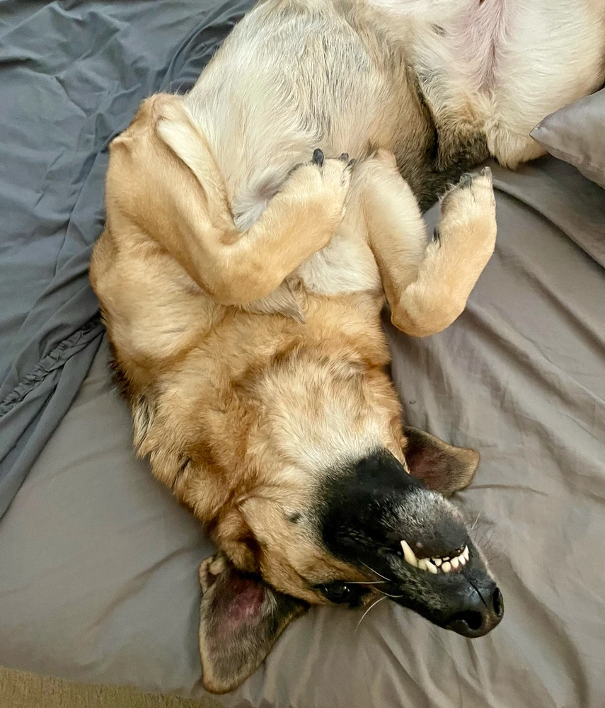 GIF uploaded by Kara