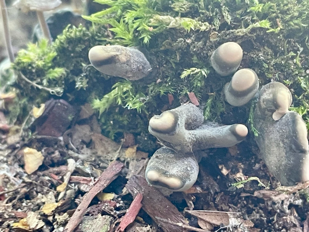 GIF uploaded by Kara