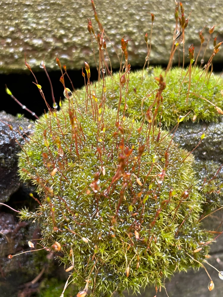 GIF uploaded by Kara