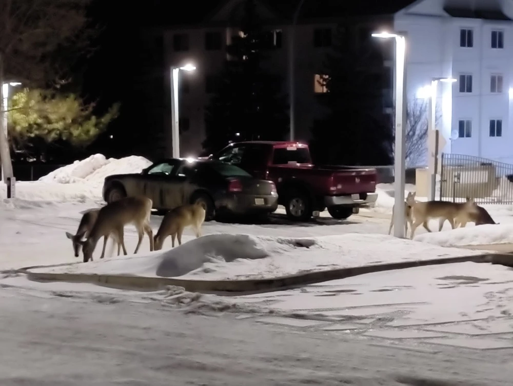 GIF uploaded by Victor