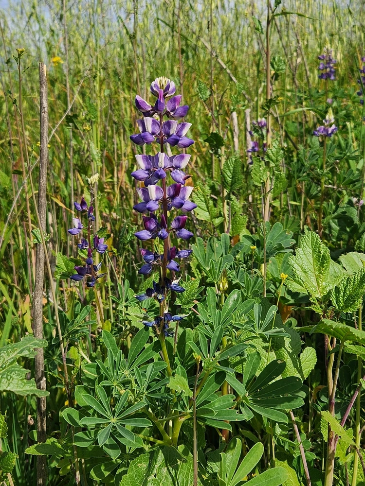 Image uploaded by Elle