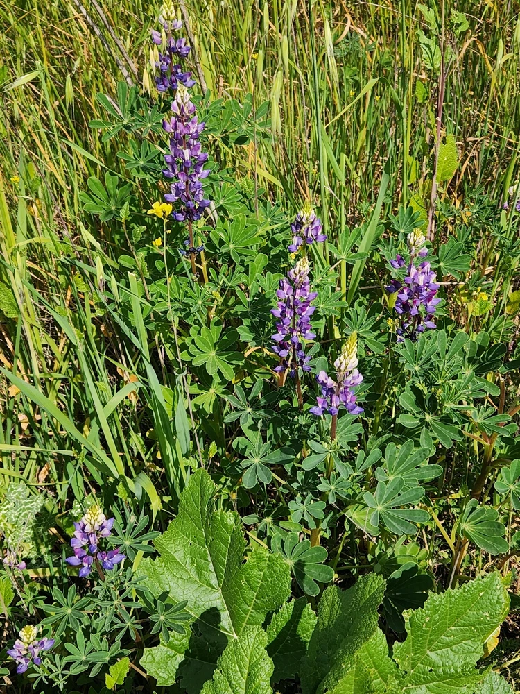 Image uploaded by Elle