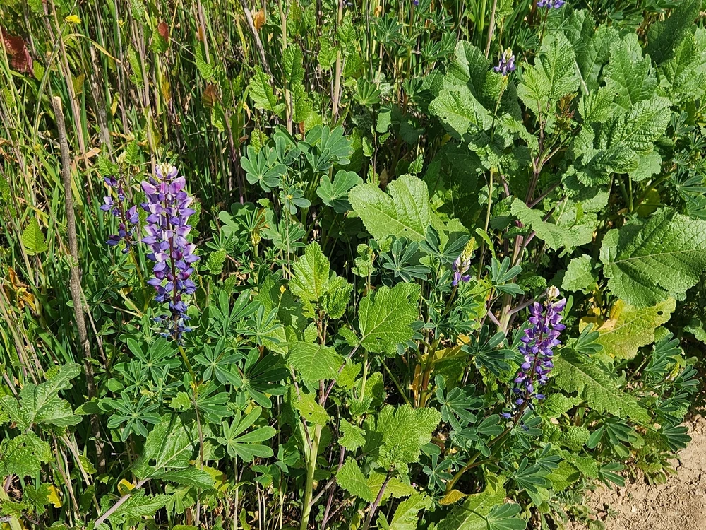 Image uploaded by Elle