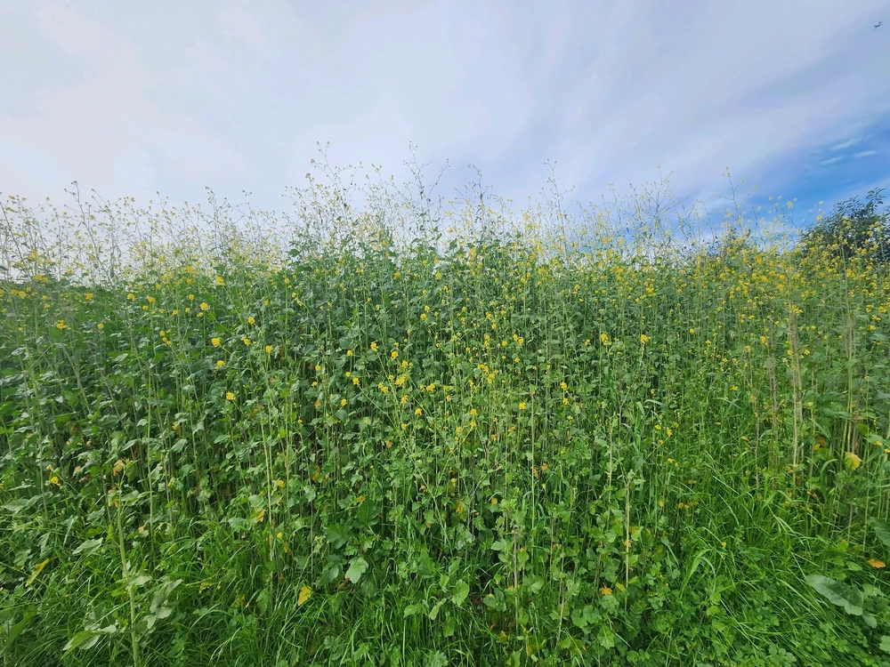 GIF uploaded by Elle