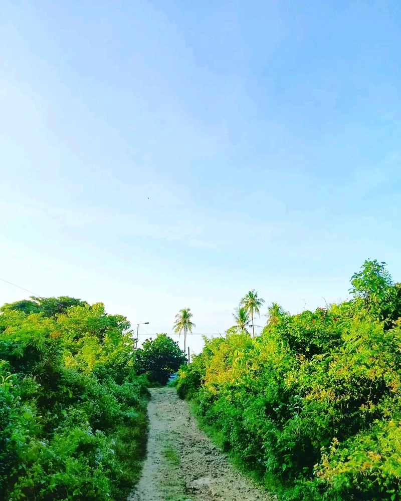 Image uploaded by Sarah