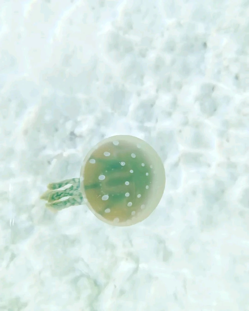 Image uploaded by Sarah