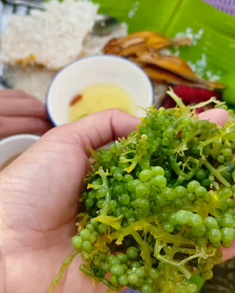 Image uploaded by Sarah