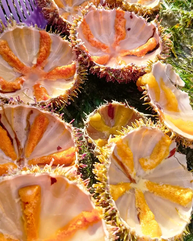 Image uploaded by Sarah