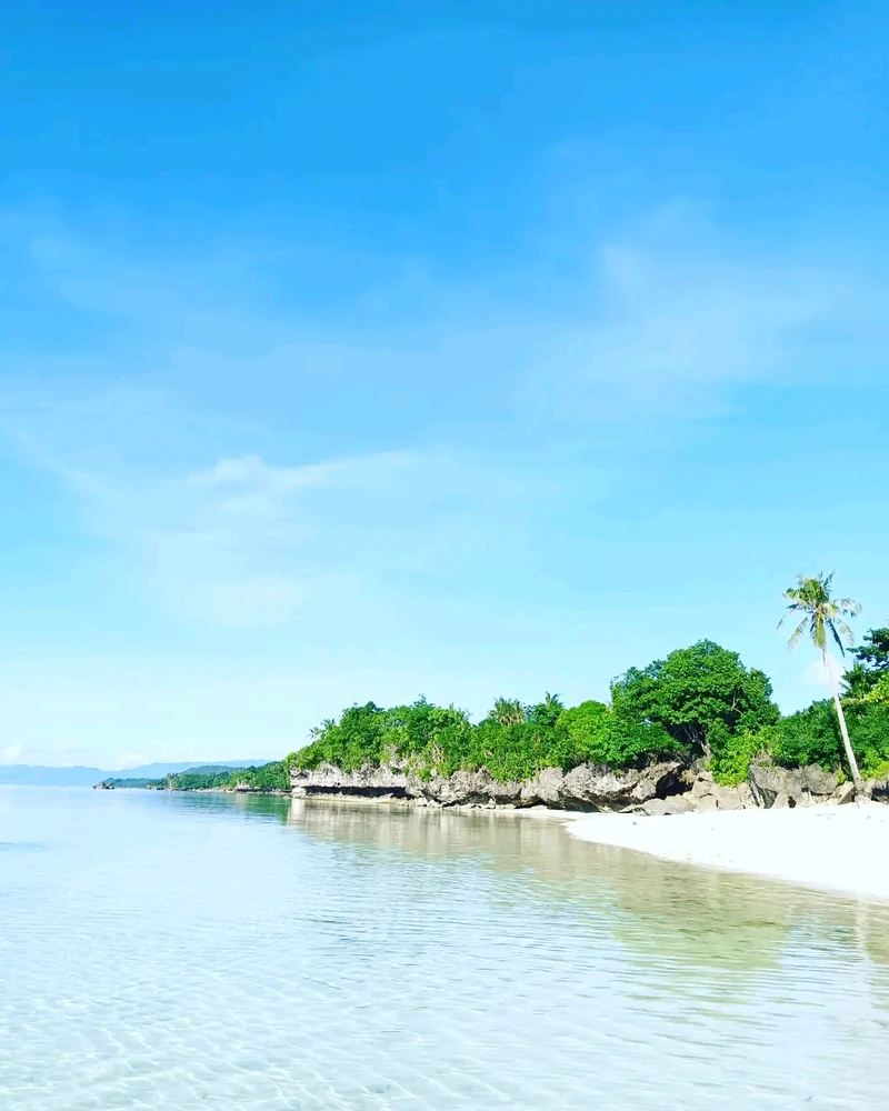 Image uploaded by Sarah