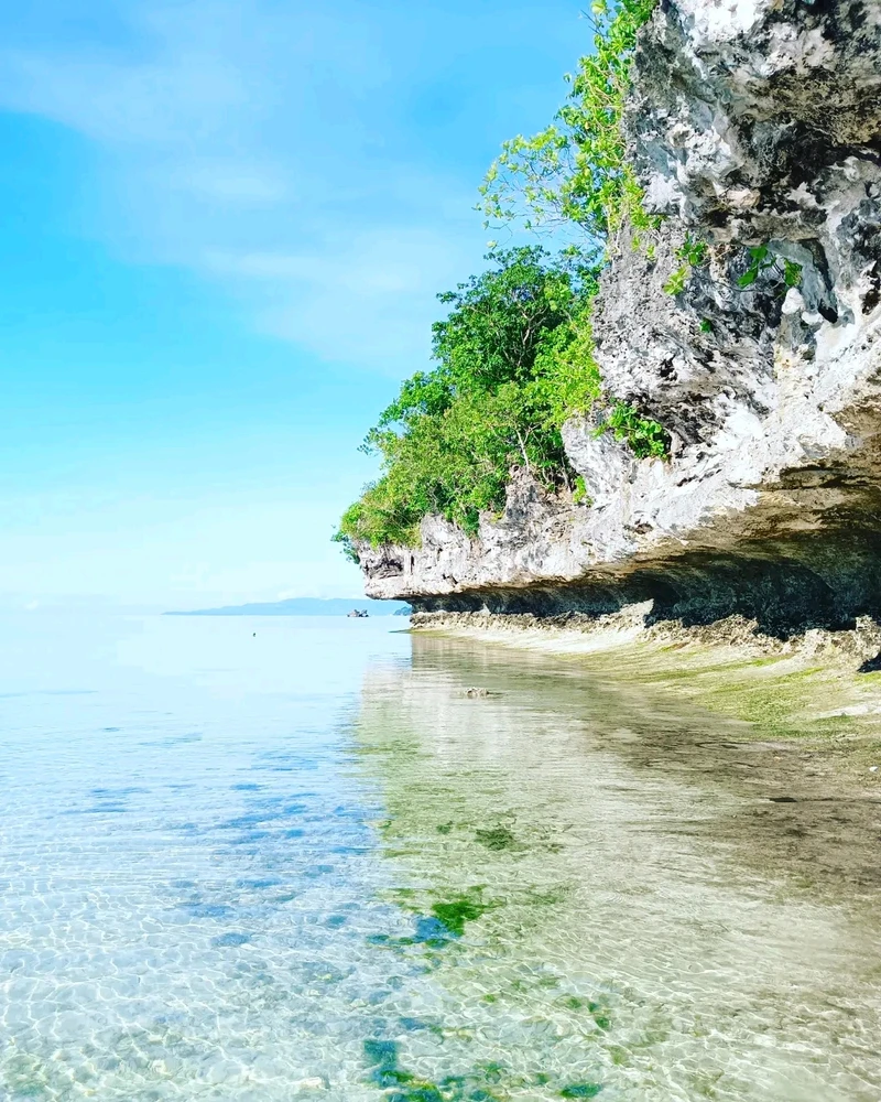 Image uploaded by Sarah