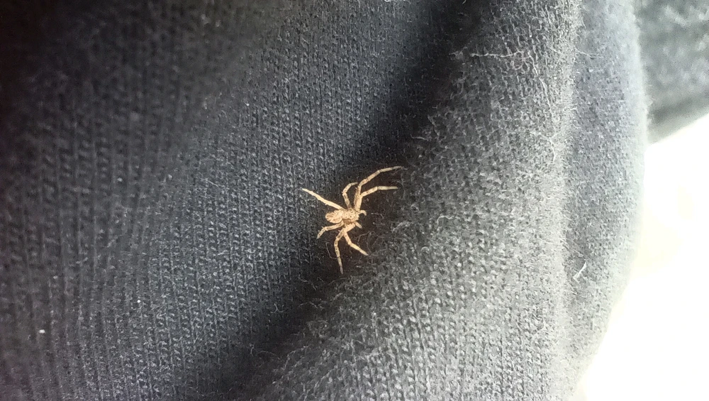 GIF subido por José Luis