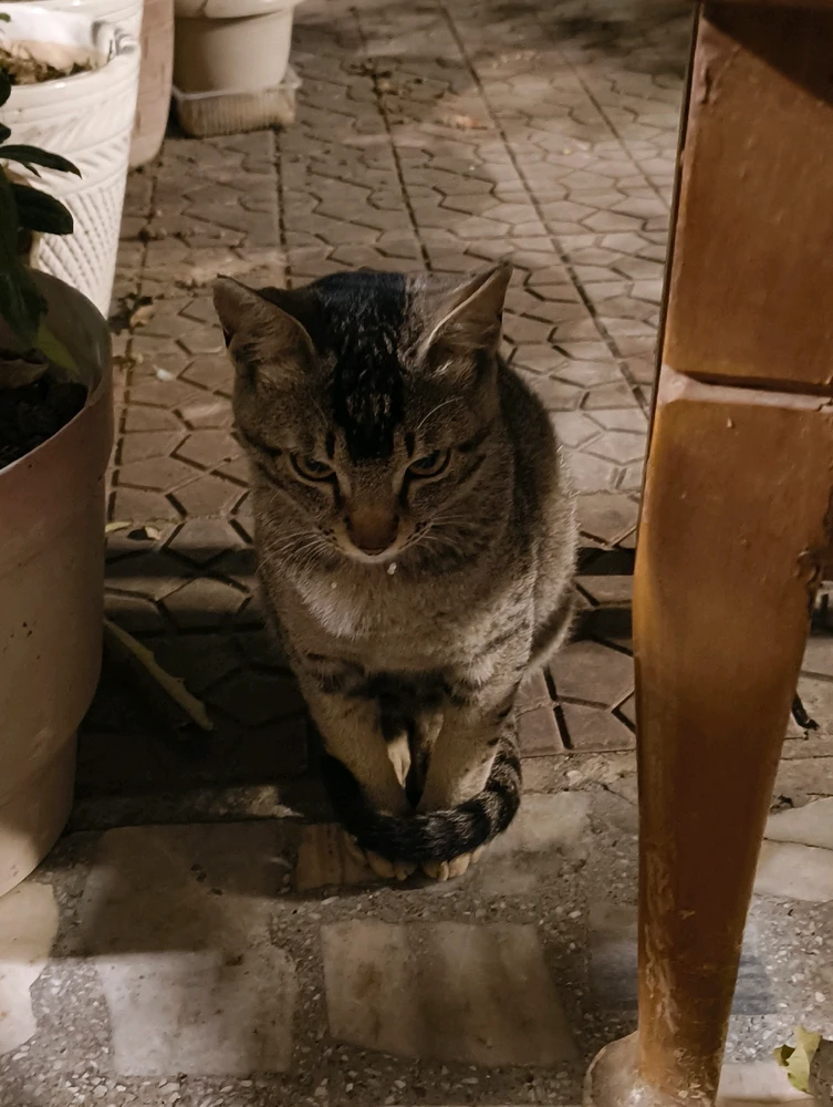 GIF uploaded by Jashan Singh