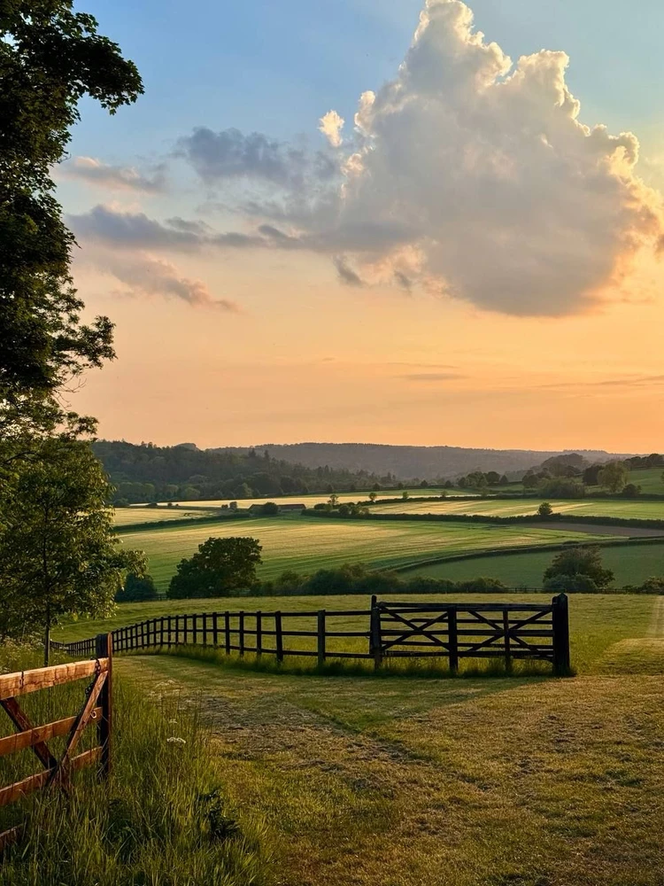 Image uploaded by Joseph