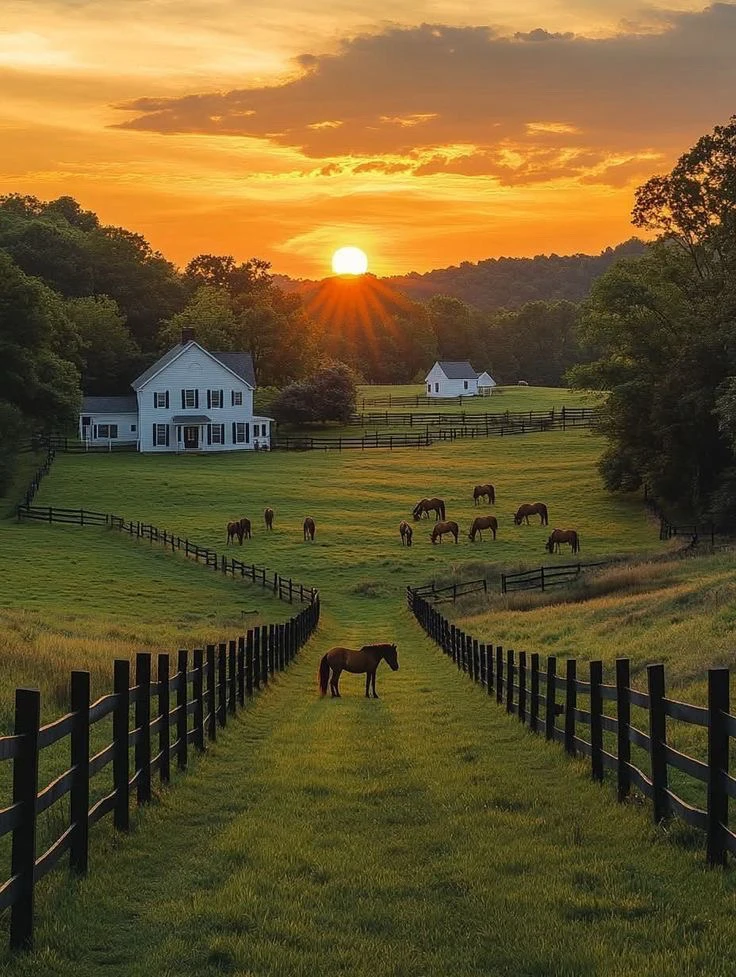 Image uploaded by Joseph