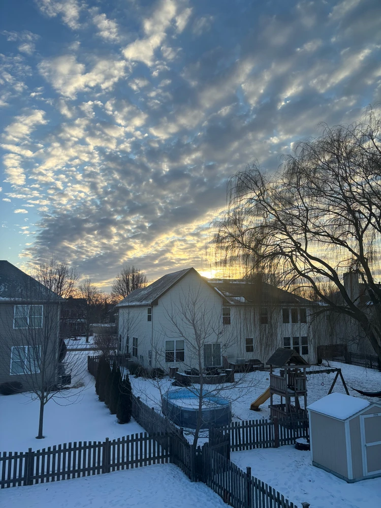 Image uploaded by Joseph