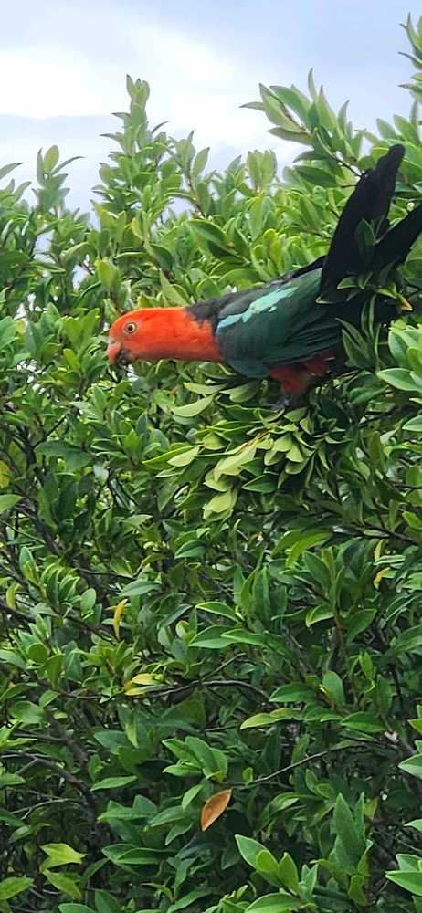 Image uploaded by Wayne