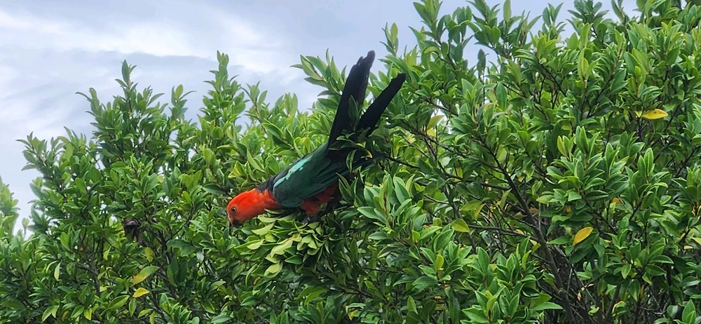 Image uploaded by Wayne