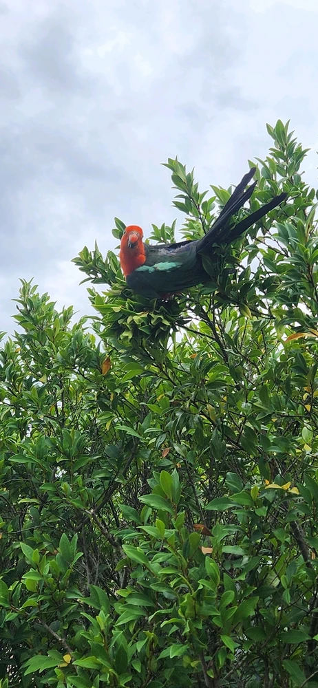 Image uploaded by Wayne