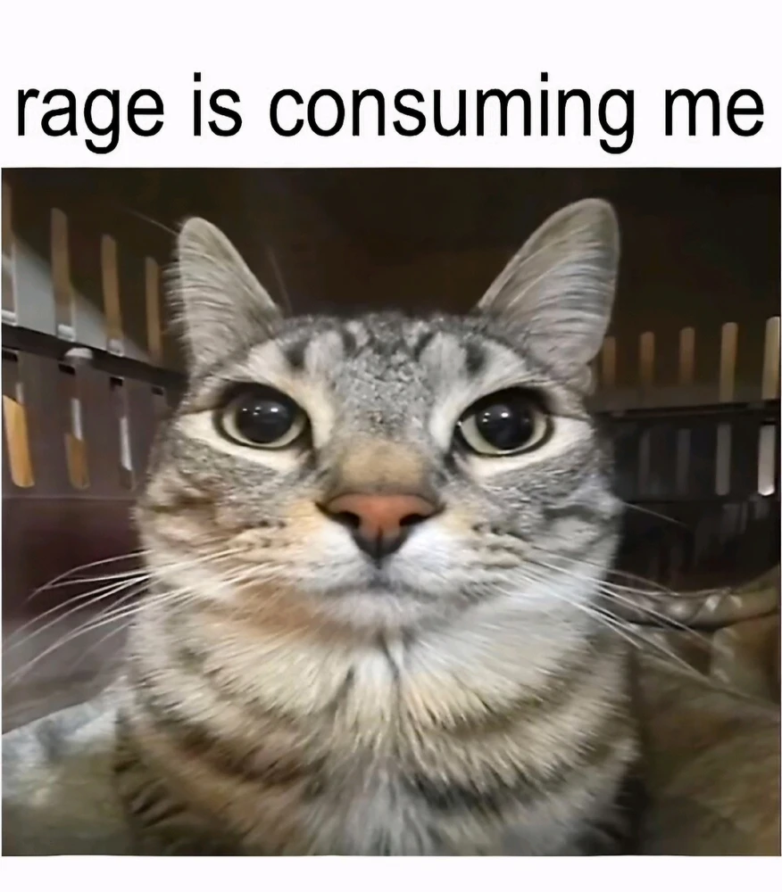 GIF hochgeladen von 𝕁𝕖𝕤𝕤𝕚𝕔𝕒