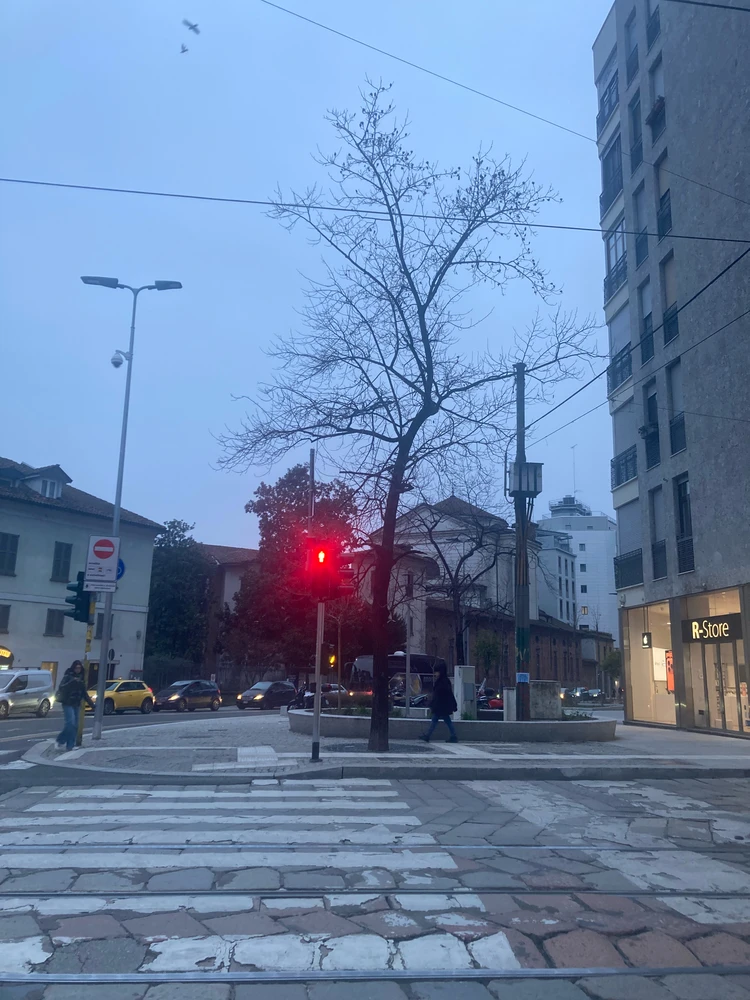 GIF caricata da 🐚 Jess🧜‍♀️