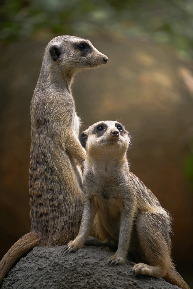 GIF uploaded by Hao Wen