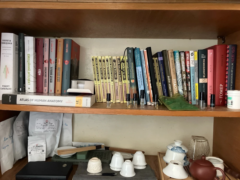 Гіфку завантажив GttN