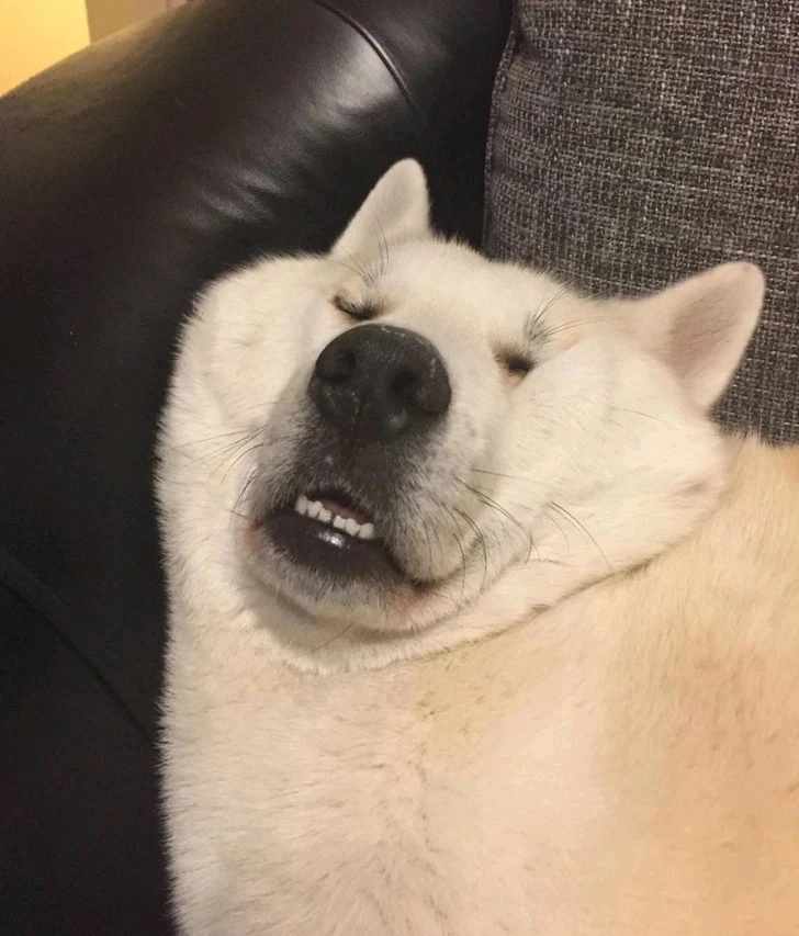 GIF uploaded by Elena