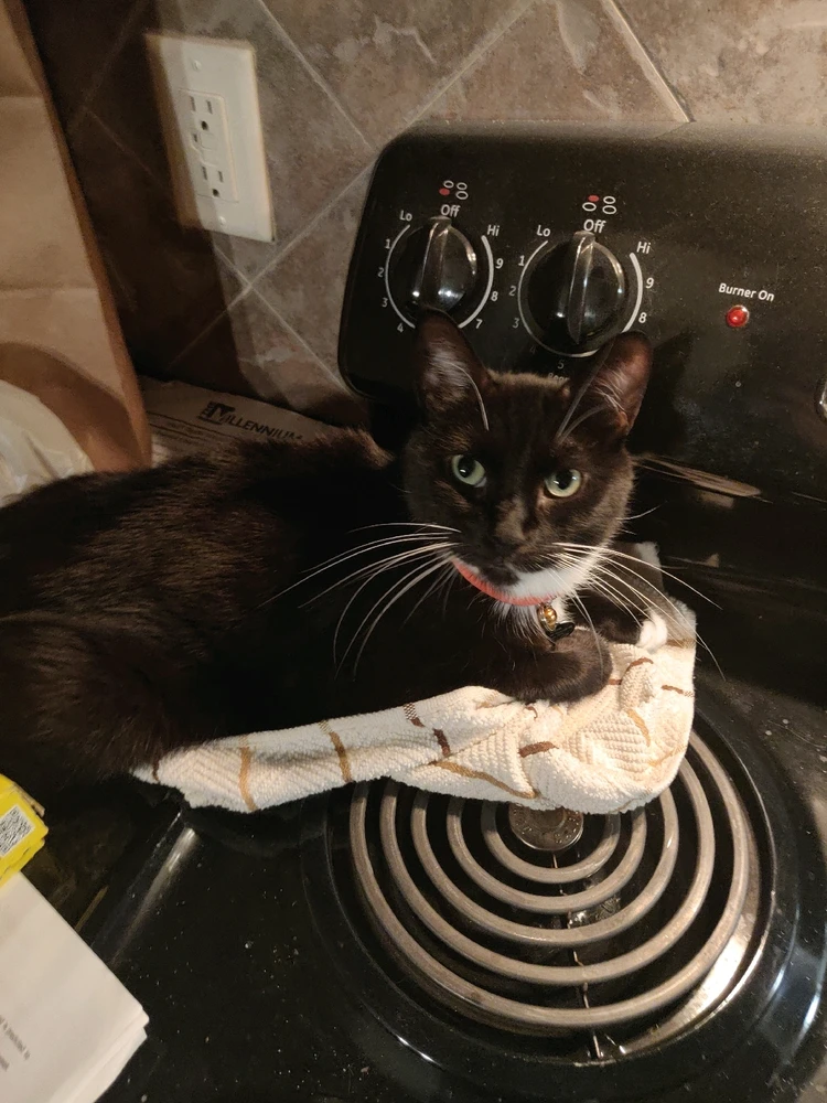 GIF uploaded by Nathan Davis