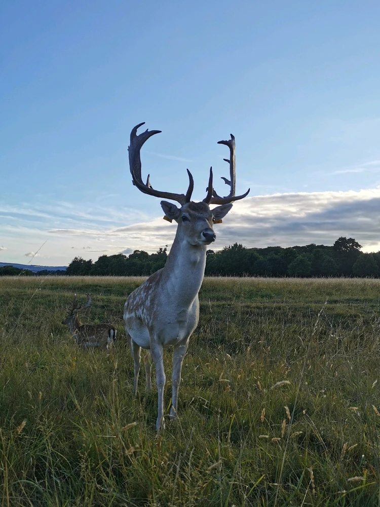 GIF uploaded by Liza