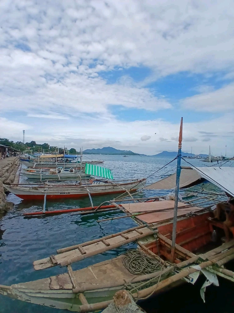 GIF uploaded by Grace