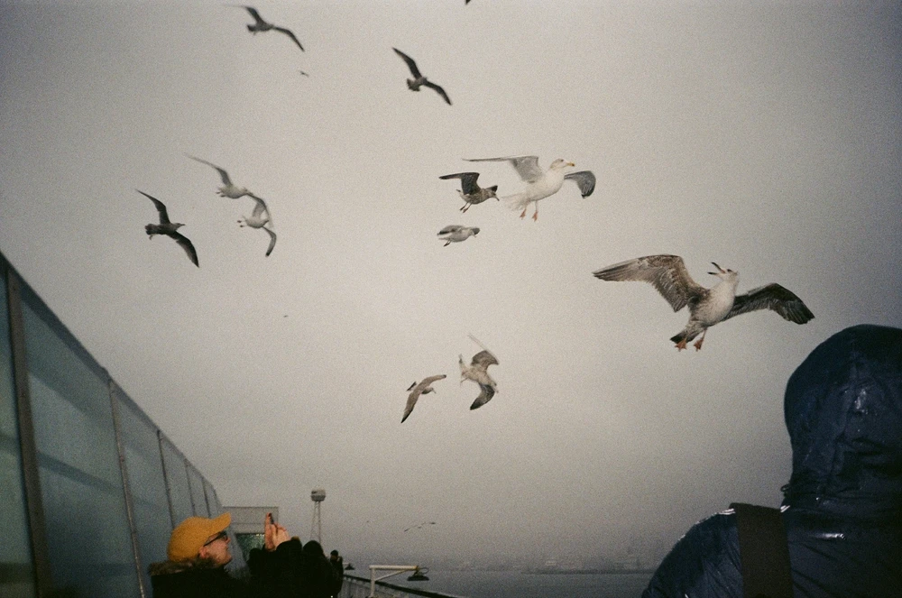 Image uploaded by Liza