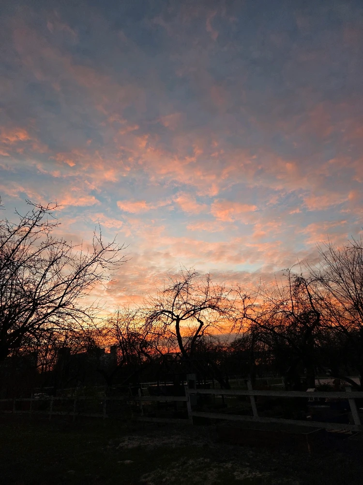 Image uploaded by Liza